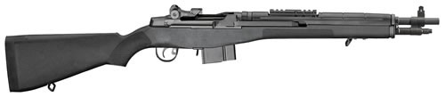 SPR M1A .308 BLACK 22 NY 10RD - Taurus Savings